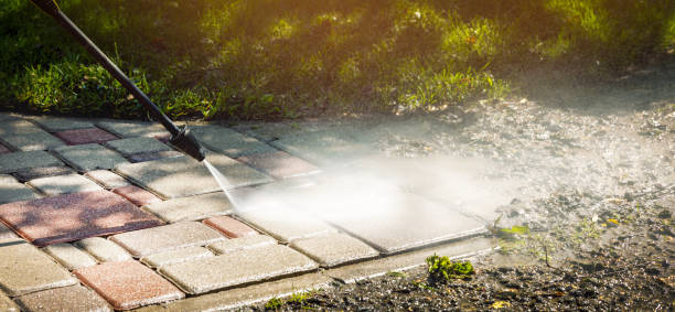 Best Driveway Pressure Washing  in Nixon, TX